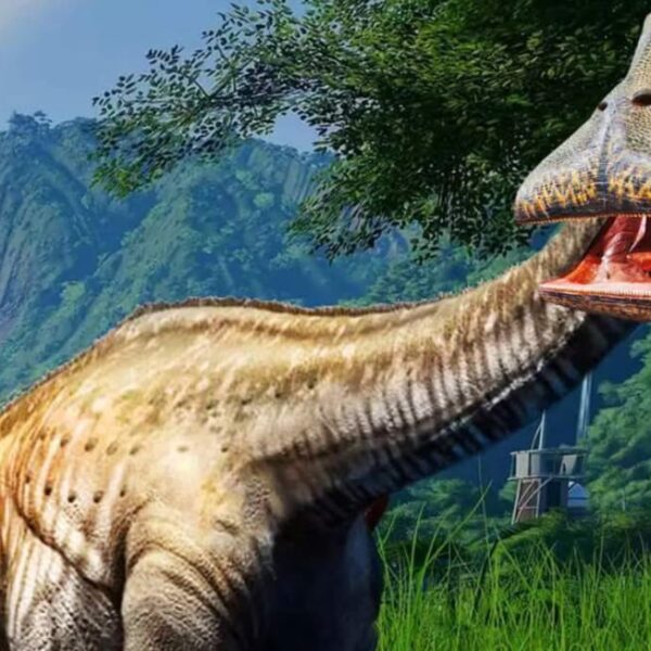 What Dinosaur Has 500 Teeth? Everything You Need to Know About Nigersaurus