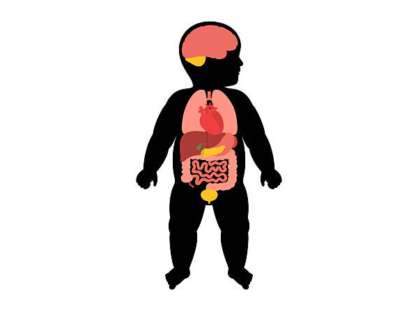 Bone Marrow Transplants in Infants: Who Needs Them and How They Work