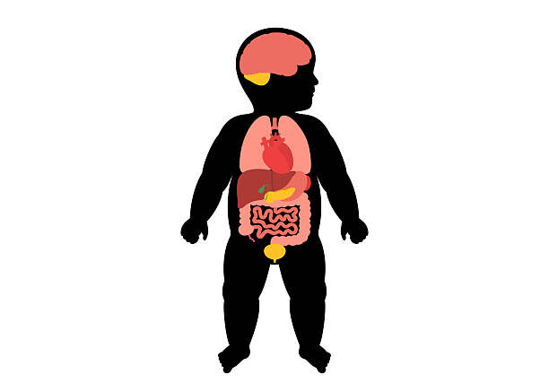 Bone Marrow Transplants in Infants: Who Needs Them and How They Work